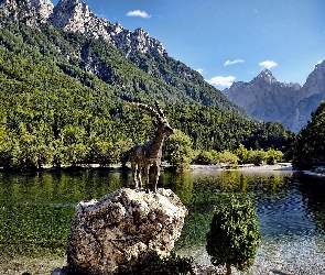 Narodowy, Jezioro, Park, Góry, Rzeźba, Triglav, Koziorożca, Skała