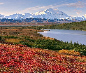 Alaska, Łąki, Jezioro, Góry