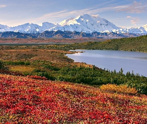 Łąki, Jezioro, Alaska, Góry