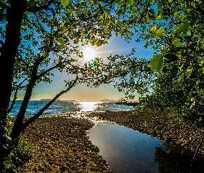 Słońca, Promienie, Brzeg, Jezioro, Strumyk, Drzewo
