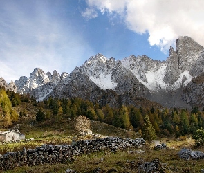 Dom, Kamienie, Góry, Las