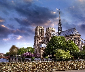 Katedra, Francja, Paryż, Notre Dame