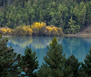 Lasy, Jezioro