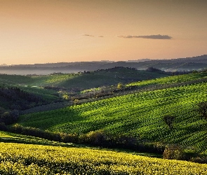 Łąka, Mgła, Pagórki