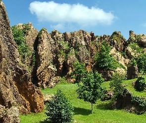 Kantabria, Natural, Drzewa, Cabarceno, Skały, Park