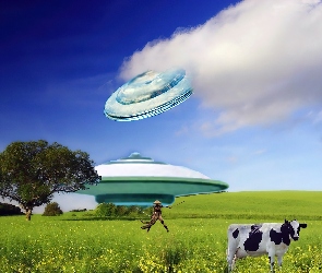 Krowa, UFO