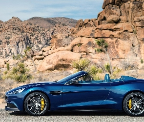 Vanquish, Rośliny, Skały, Volante, Aston Martin