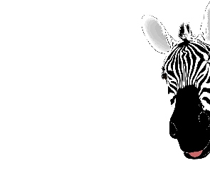 Grafika, Zebra