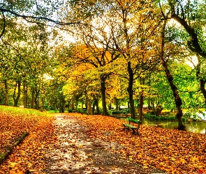 Jesień, Rzeka, Park, Ławeczka