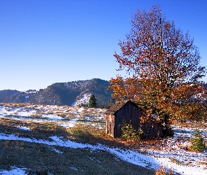 Drzewa, Zima, Lasy, Góry, Szopa