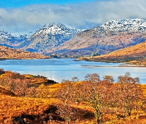 Jezioro, Góry, Jesień, Drzewa, Szkocja, Łąki