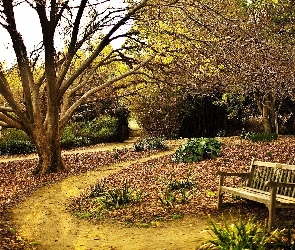 Park, Ławka