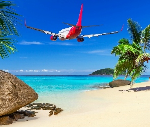 Plaża, Palmy, Ocean, Samolot, Wyspa, Skały