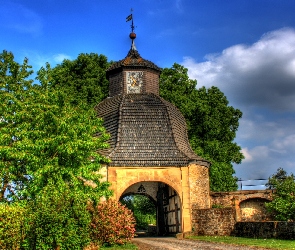 Kapliczka, Drzewa