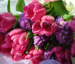 Bukiet, Tulipanów, Różowych
