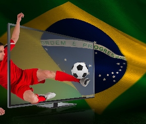2014r, Brazylia, Mistrzostwa, Świata