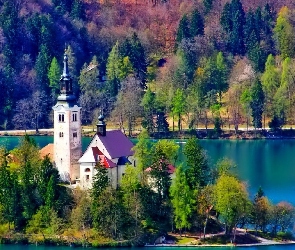 Las, Słowenia, Bled, Jezioro, Kościół