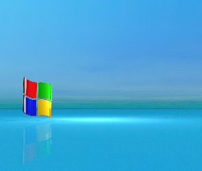 Logo, Windows