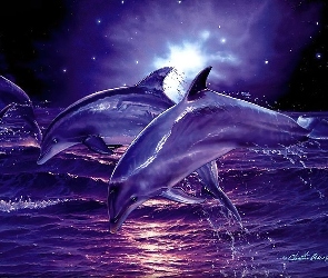 Delfiny, Fale, Morze