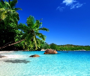 Tropiki, Wyspa, Ocean, Plaża