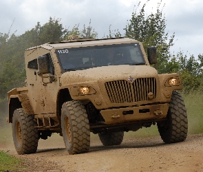 Wojskowy, Navistar International, Samochód