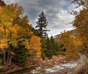 Rzeka, Jesień, Lasy, Góry