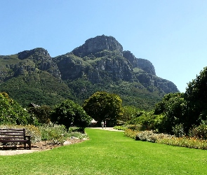 Góra, Kirstenbosch, Park, Stołowa