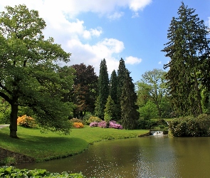 Park, Światło, Przebijające, Staw, Pruhonice