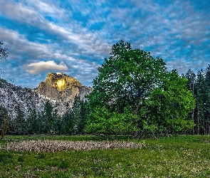 Góry, Drzewo, Lasy, Łąka