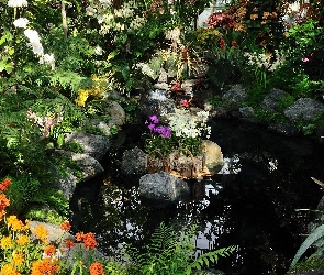 Ogród, Oczko Wodne, Kwiaty