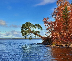Drzewa, Jesień, Góry, Kamienie, Jezioro