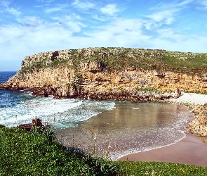 Roślinność, Klify, Morze, Plaża
