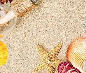 Muszle, Piasek, Plaża, Butelka, Kolorowe