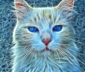 Kot, Fractalius