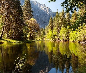 Stany Zjednoczone, Stan Kalifornia, Las, Góry, Rzeka, Park Narodowy Yosemite