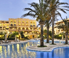 Basen, Palmy, Hotel