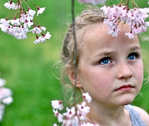 Dziewczynka, Rozmycie, Drzewo, Kwitnące