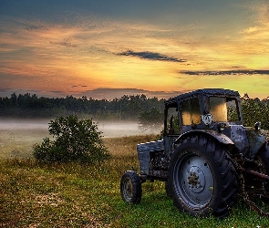 Ciągnik, Rolniczy, Mgła, Słońca, Łąka, Zachód