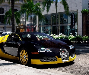 Grafitowo Żółty, Ulica, Miasto, Bugatti Veyron