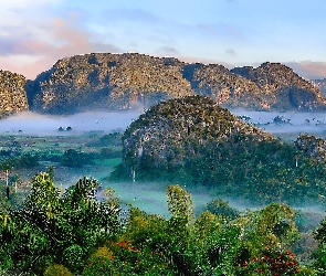 Mgła, Lasy, Kuba, Góry