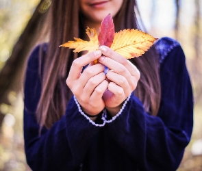 Jesień, Liście, Dziewczynka, Ręce