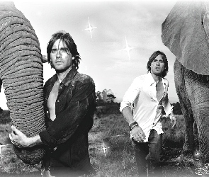 słoń, trąba, Jared Leto