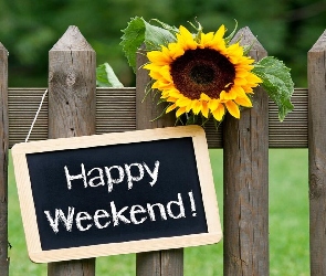 Happy Weekend, Łąka, Płot, Słonecznik