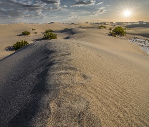 Park Narodowy Death Valley, Promienie, Pustynia, Krzewy, Kalifornia, Wydmy, Stany Zjednoczone, Słońca