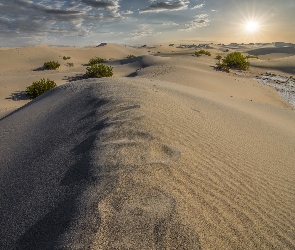 Krzewy, Park Narodowy Death Valley, Pustynia, Stany Zjednoczone, Słońca, Promienie, Kalifornia, Wydmy