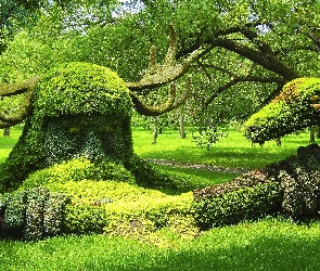 Montreal, Canada, Botanika