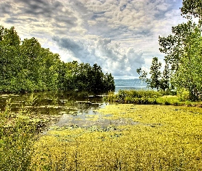 Las, Chmury, Jezioro