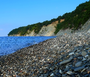 Morze, Rośliny, Plaża, Skały, Kamienie