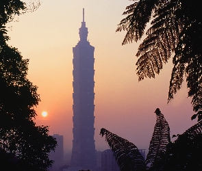 Tajwan, Drzewa, Taipei 101