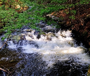 Rzeka, Wiosna, Las, Kamienie, Górska